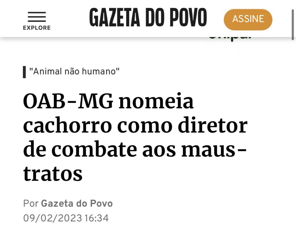 OAB-MG-nomeia-cachorro-diretor-combate-maus-tratos